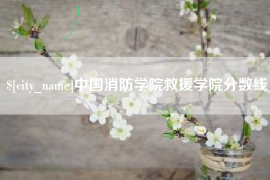 巢湖中国消防学院救援学院分数线