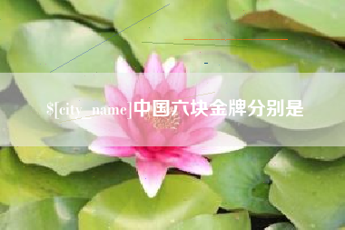 巢湖中国六块金牌分别是