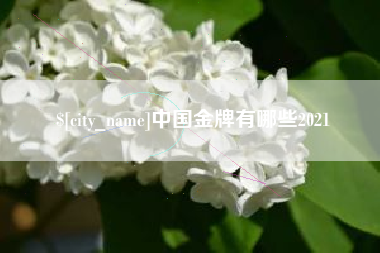 巢湖中国金牌有哪些2021