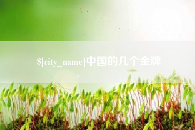 巢湖中国的几个金牌