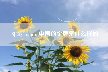 巢湖中国的金牌是什么样的