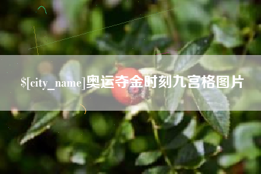 巢湖奥运夺金时刻九宫格图片