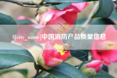 巢湖中国消防产品质量信息
