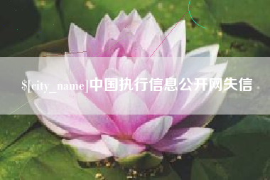 巢湖中国执行信息公开网失信