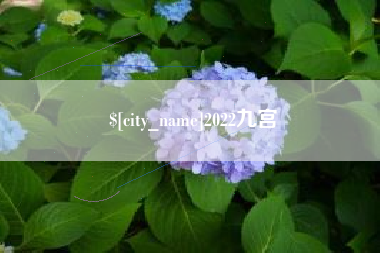 巢湖2022九宫