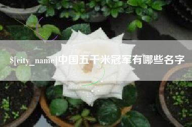 巢湖中国五千米冠军有哪些名字