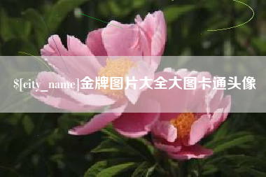 巢湖金牌图片大全大图卡通头像