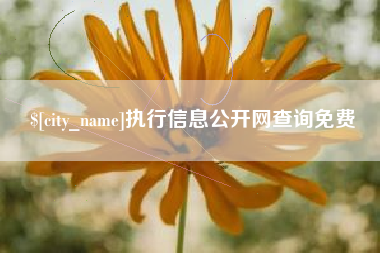 巢湖执行信息公开网查询免费