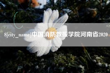 巢湖中国消防救援学院河南省2020